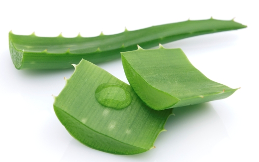 Aloe Vera nuo plaukų slinkimo