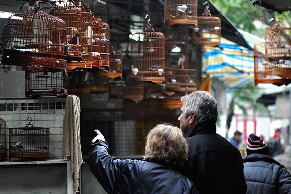 bird-garden_hong-kong-turistinės vietos