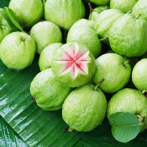 „Guava Leaves“ namų gynimo priemonės nuo dantų skausmo