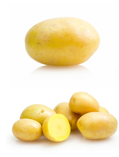 potatto naudoja