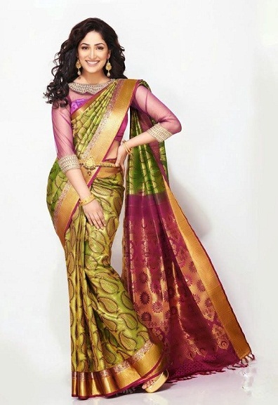 Eşsiz Kanchipuram Saree