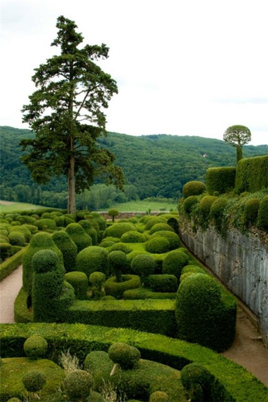 Boxwood κομμένα φυτά γλάστρες τοπίο τσιμεντένιο τοίχο