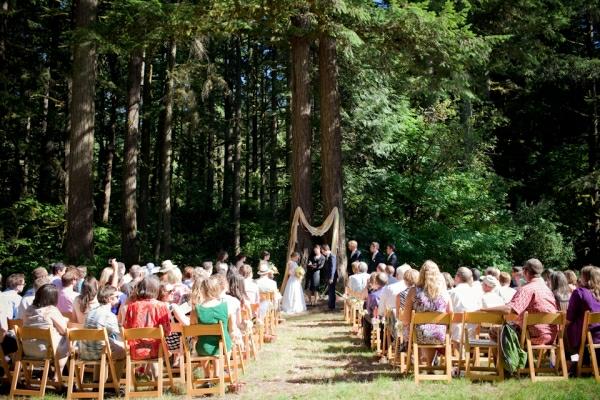 δάσος περιβάλλον γαμήλια τελετή διακόσμησης πράσινο