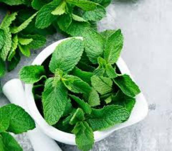 Βότανα για Detox Mint Green Leaves Θεραπευτική Δύναμη της Φύσης