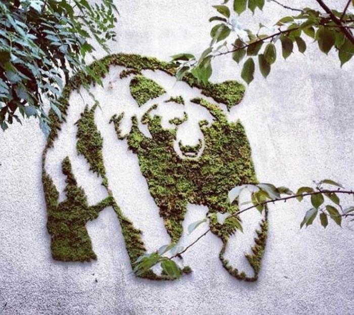 Moss graffiti street artist ornament baer