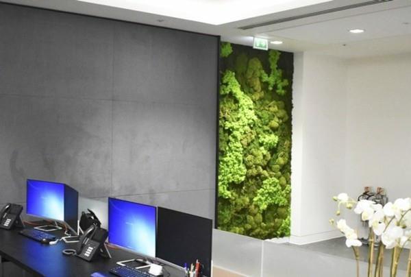 Moss wall biophilia green wall cladding set up office work office