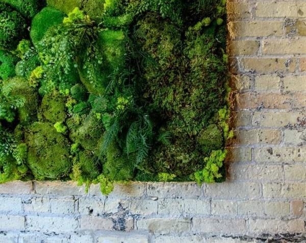 Φτιάξτε μόνοι σας τοίχο από βρύα Biophilia Living trends 2020 Τύποι βρύων Τείχος από τούβλα