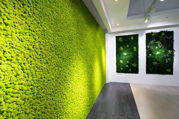 Φτιάξτε μόνοι σας τοίχο βρύα Biophilia Living trends βρύα