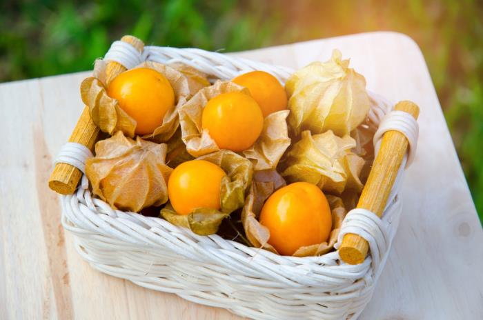 Εξωτικά φρούτα Physalis επίσης γνωστά ως κινέζικο φανάρι λόγω του σχήματος του κελύφους