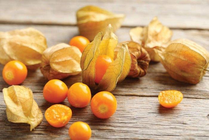 Physalis εξωτικά φρούτα μικρά πορτοκαλιά φρούτα σε λεπτά κελύφη