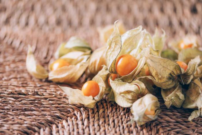 Physalis εξωτικά φρούτα μικρά πορτοκαλιά φρούτα