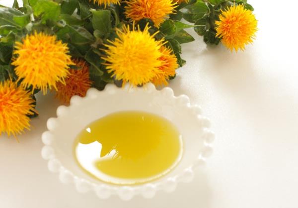 Safflower Plant Safflower Oil Οφέλη για την υγεία