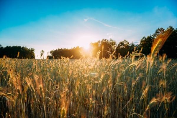 Το θερινό ηλιοστάσιο είναι η μεγαλύτερη μέρα, η πιο σύντομη νύχτα του χρόνου