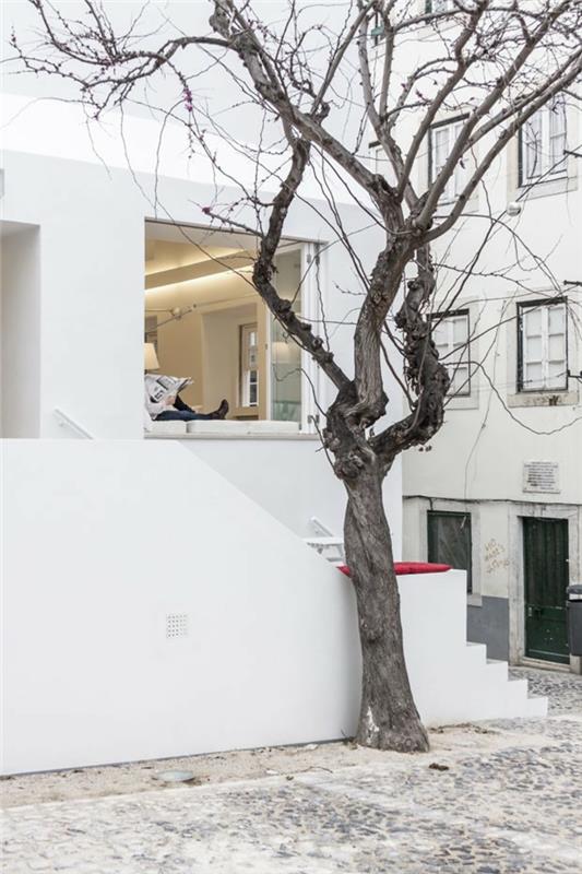 arquitetura casa da severa fado μουσική χορός