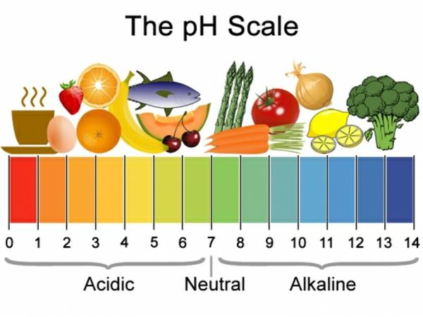 Οξύτητα του σώματος Συμπτώματα pH Τιμές Τρόφιμα