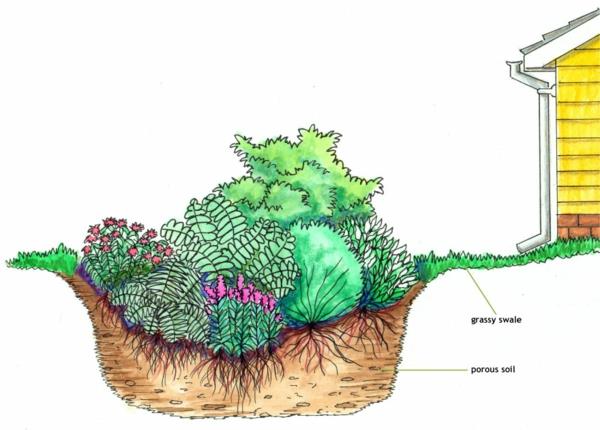 κήπος απορροής ομβρίων υδάτων βύθισμα σκίτσο φυτών