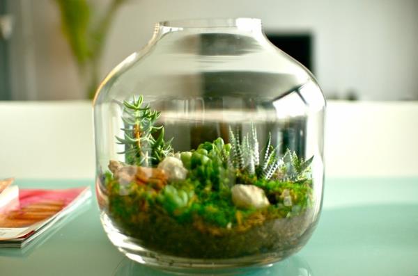 σχεδιαστής ιδέα σχεδιασμός κήπου terrarium μπονσάι δέντρο πρωτότυπο