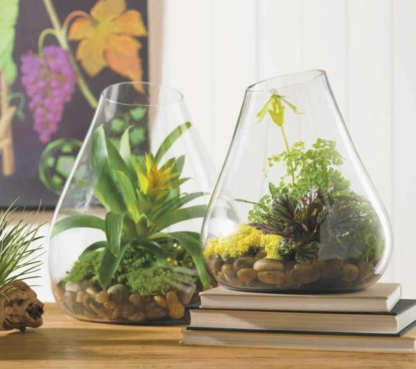 σχεδιαστής ιδέα σχεδιασμός κήπου terrarium μπονσάι δέντρο αρχική πέτρα φυτό