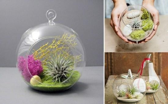 μίνι ιδέες από γυαλί terrarium με tillandsia