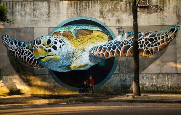 γκράφιτι ζωγραφική buenos aires αργεντίνη χελώνα