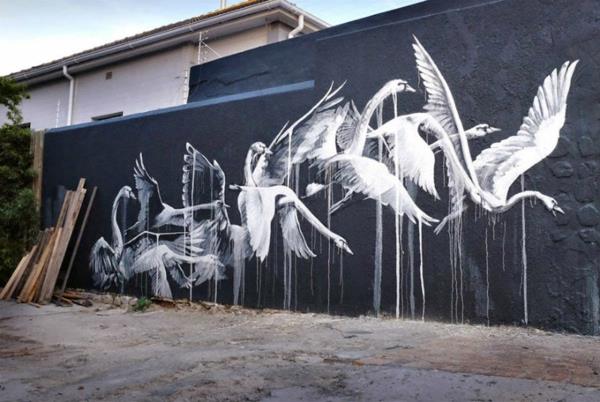 graffiti art Cape Town κύκνοι νότιας αφρικής