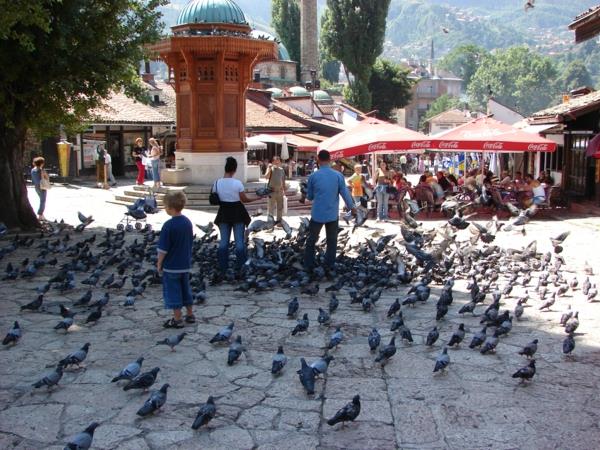 πρωτεύουσα Βοσνία και Ερζεγοβίνη Σαράγεβο ενδιαφέροντα μέρη