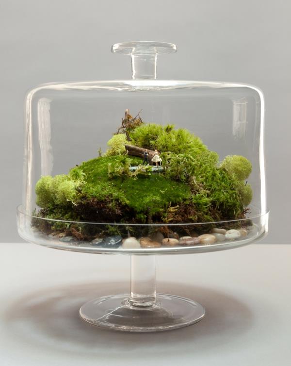 καφετιέρα terrarium γυάλινη βάση κέικ βρύα