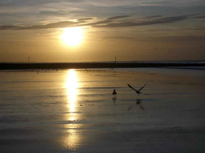 norderney nordesee ανατολικό φριζικό νησί λευκό αμμόλοφο λυκόφως