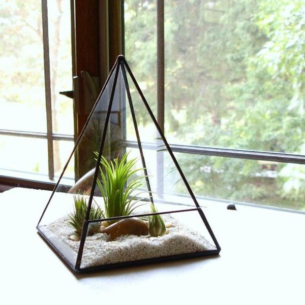 ταιριάζουν φυτά terrarium γυάλινα αγγεία πέτρες πυραμίδες