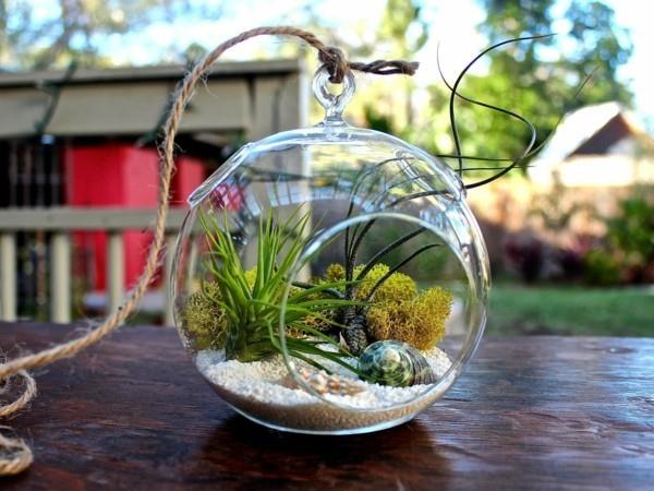 φυτική ιδέα terrarium για διακόσμηση σπιτιού