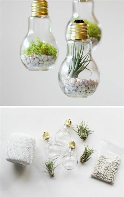 φυτά terrarium diy έργα με λαμπτήρες φτιάξτε το δικό σας terrarium