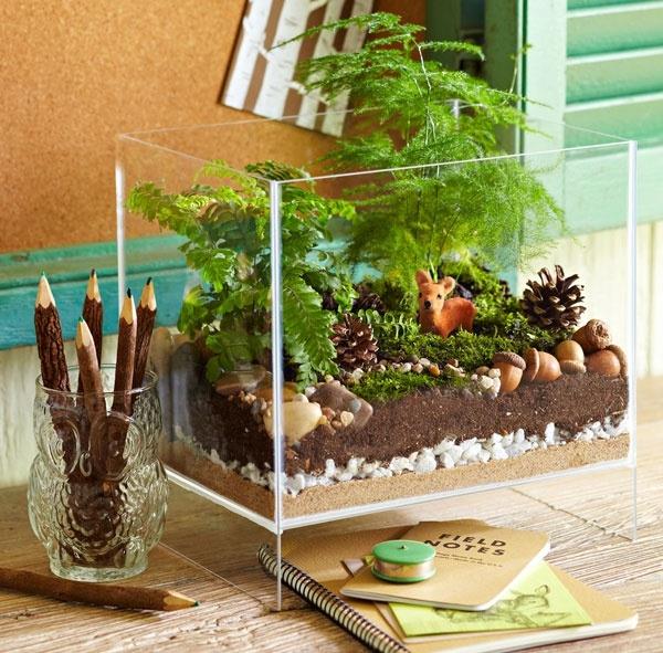 φυτά terrarium γυάλινα αγγεία ορθογώνιο γραφείο διακοσμούν