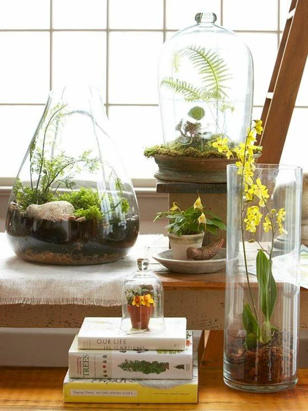 φυτά terrarium γυάλινα αγγεία διακοσμητικά αντικείμενα ιδέες