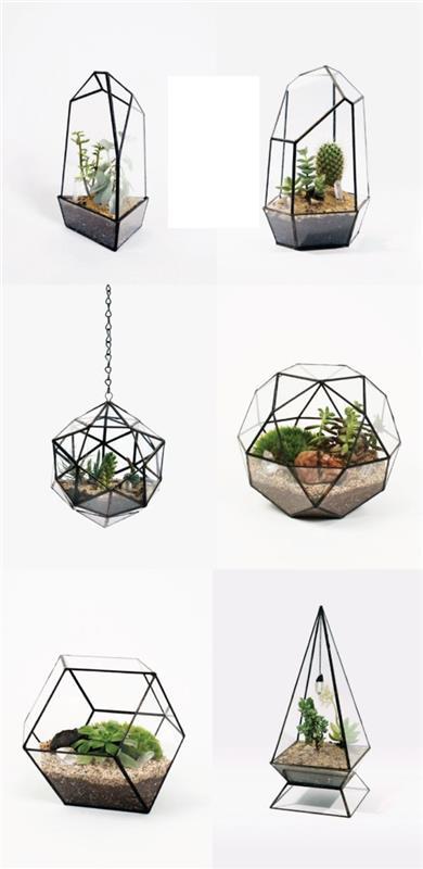 φυτά terrarium γυάλινα αγγεία ακανόνιστα φτιάξτε το δικό σας terrarium