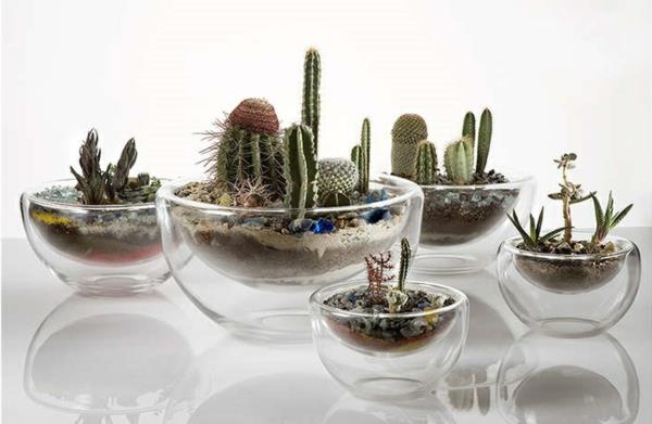 φυτά terrarium κάκτοι φτιάξτε τα δικά σας φυτά εσωτερικού χώρου terrarium εύκολο στη φροντίδα