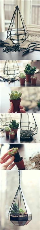 φυτά terrarium terrarium χτίστε ιδέες διακοσμητικών αντικειμένων