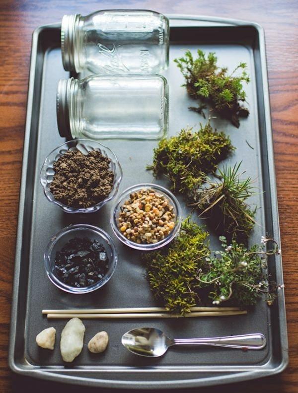 τα φυτά terrarium κατασκευάζουν τα δικά σας υλικά terrarium