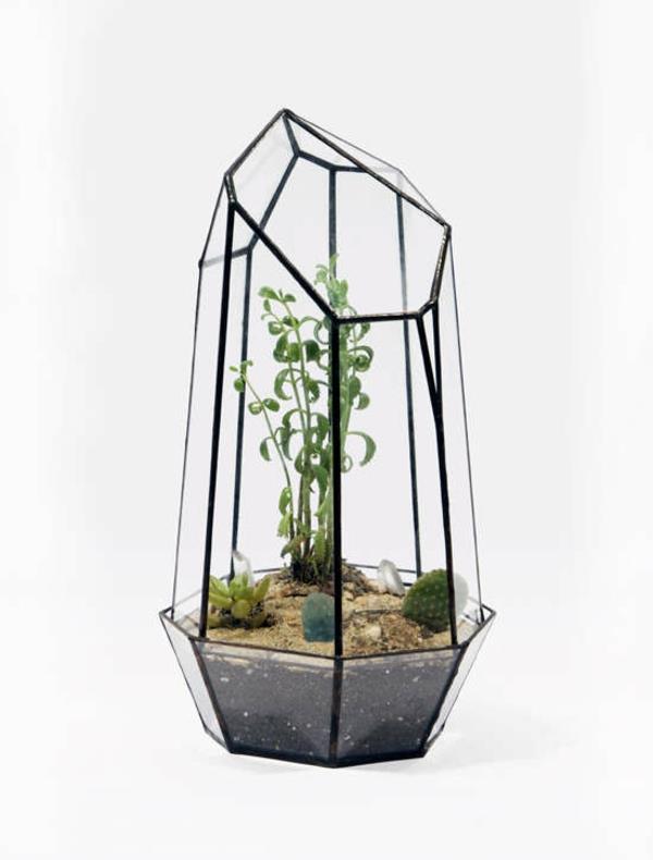 τα φυτά terrarium κάνουν τα φυτά terrarium εύκολα στη φροντίδα