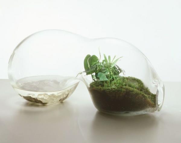 φτιάξτε το δικό σας νερό από βρύα από γυαλί terrarium