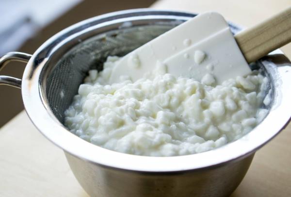 διαφορετικά είδη τυριών cottage cheese